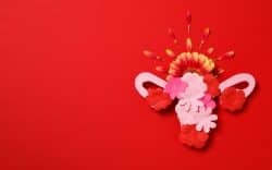 Composizione creativa con fiori che rappresentano l’utero e l’apparato riproduttivo femminile su sfondo rosso