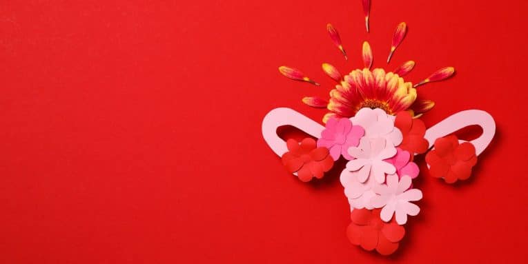 Composizione creativa con fiori che rappresentano l’utero e l’apparato riproduttivo femminile su sfondo rosso