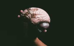 Mano che tiene un modello di cervello con cerotto applicato