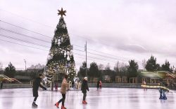 Persone che pattinano sul ghiaccio all’aperto vicino a un albero di Natale