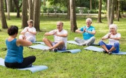 Gruppo di persone sedute su tappetini durante un’attività all’aperto nel parco.