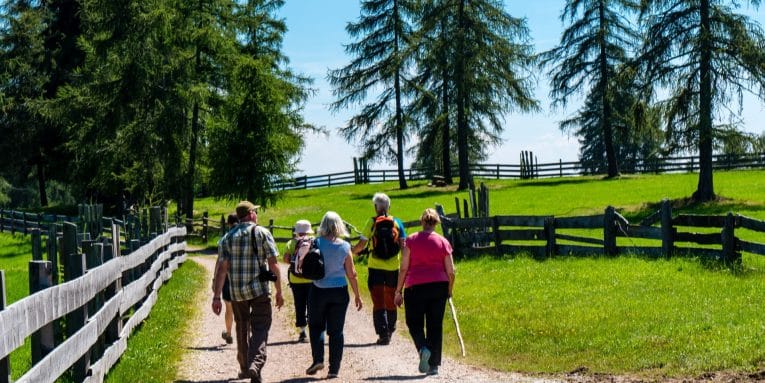 Gruppo di persone che cammina lungo un sentiero immerso nel verde