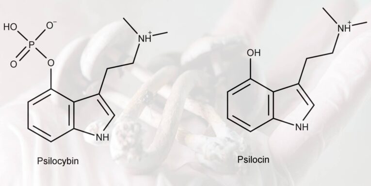 Psilocibina per il trattamento della depressione - Sportiva Mens