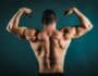 Muscoli della schiena - Sportiva Mens
