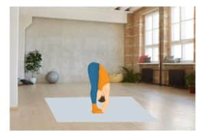 Uttanasana o piegamento in avanti in piedi