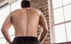 Muscoli profondi del dorso - SportivaMens